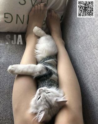 保姆在线观看